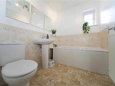 Picture 19